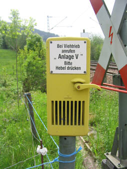 Viehtrieb an der Schwarzwaldbahn?