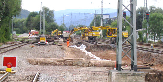 Weicheneinbau Biberach (Baden)