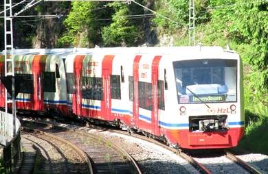 neue Seehäsle auf dem Weg nach Immendingen