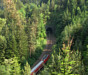 Schwarzwaldbahn Hohenacker-Tunnel