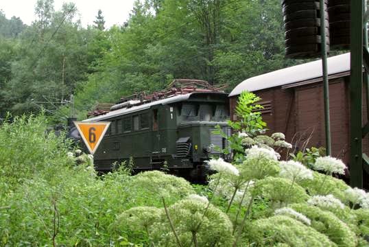 E 44 1170 - grün in grün auf der Schwarzwaldbahn